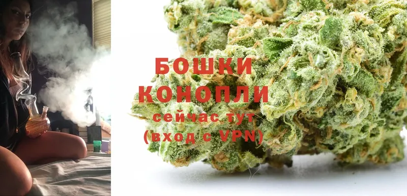 гидра маркетплейс  цена наркотик  Чусовой  Бошки Шишки Ganja 